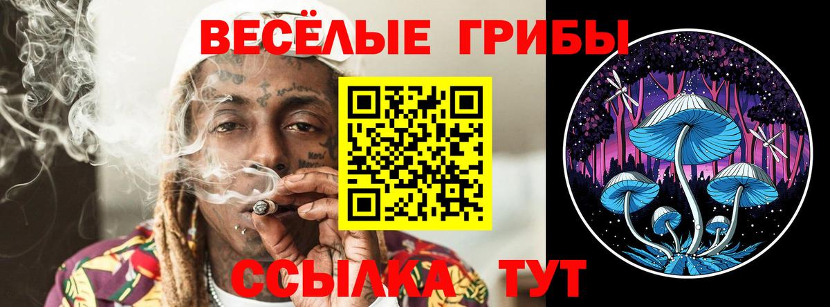 Галлюциногенные грибы GOLDEN TEACHER Ростов Великий